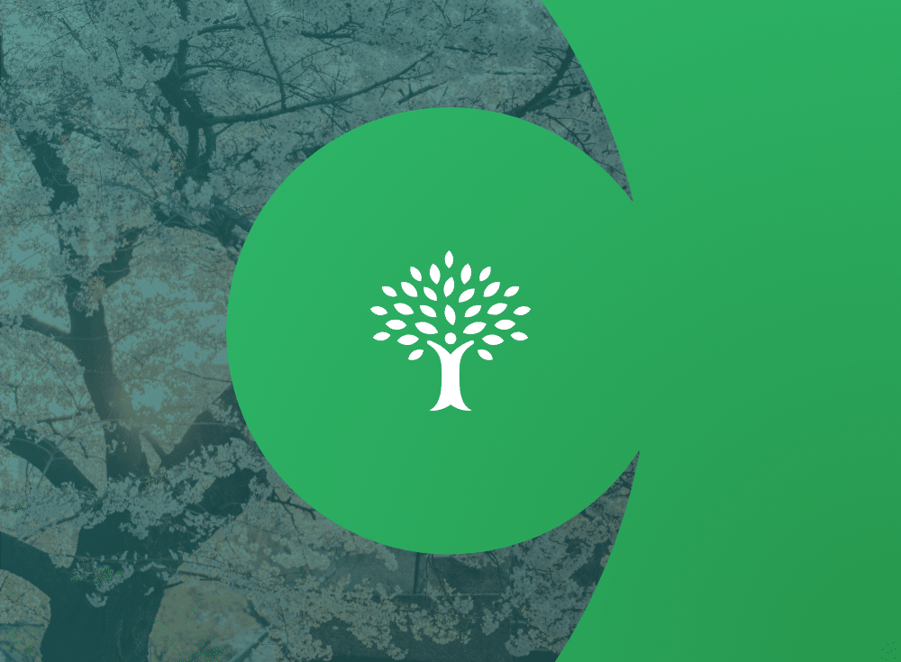 Green logo with a white tree icon overlaid on a background of cherry blossom trees, symbolizing growth that resonates with outgrowing Prometheus.