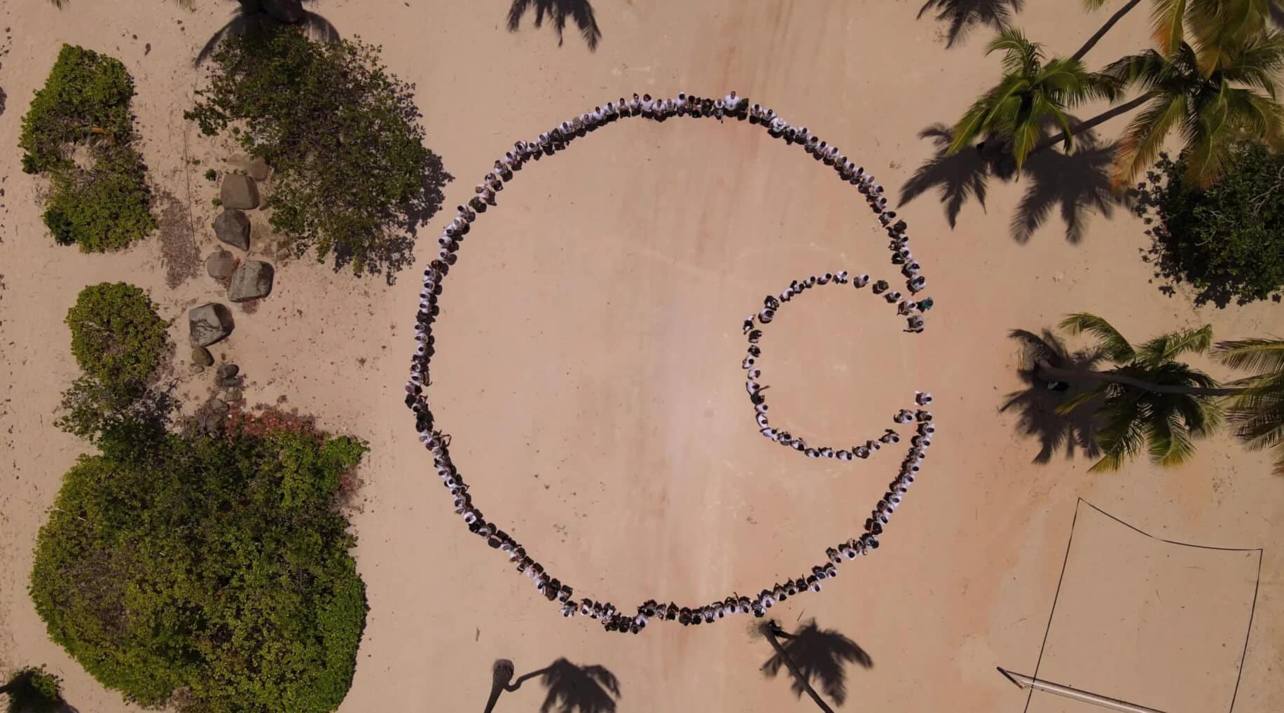 About a group of people forming a circle on the beach.