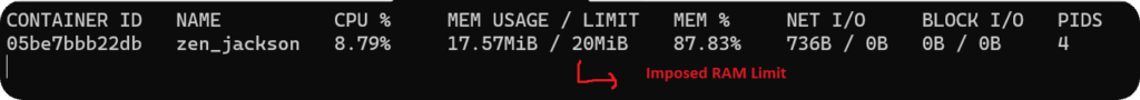 Container resource usage statistics with a RAM limit imposed and optimized to prevent data loss. CPU: 8.73%, Memory: 17.57MiB of 261MiB, Network I/O: 736B/6B, Block I/O: 0/0, PIDs: 4.