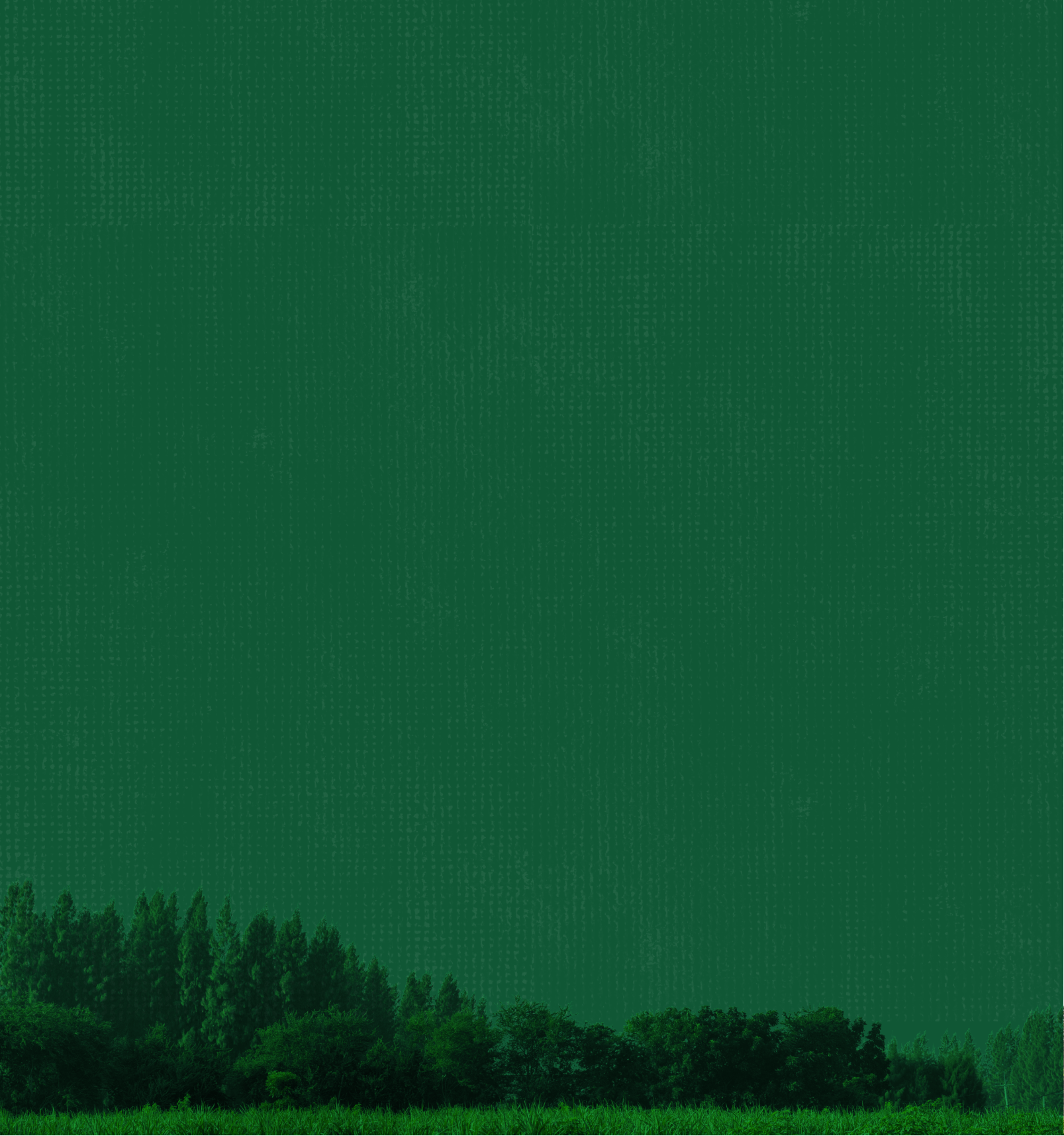 Tabbed Fifty Background image